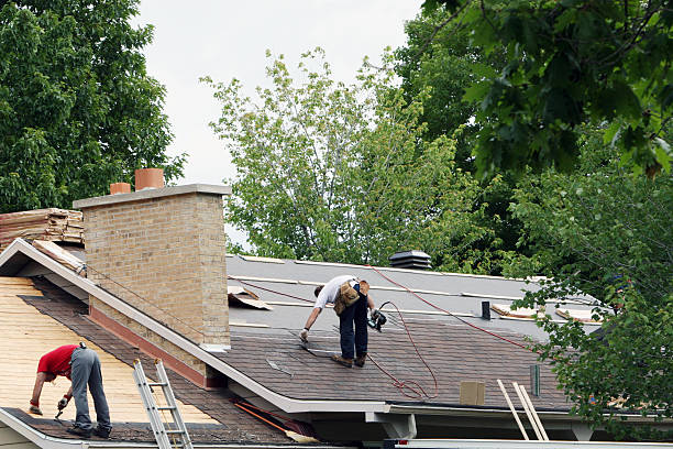 Best Roof Maintenance Services  in Meadow Les, AK